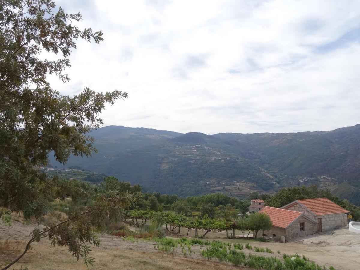 Quinta De S. Cipriano Villa Resende Kültér fotó