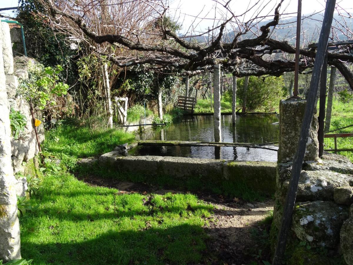 Quinta De S. Cipriano Villa Resende Kültér fotó