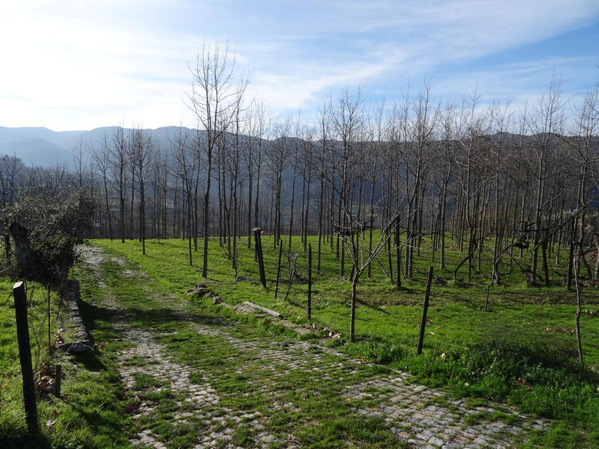 Quinta De S. Cipriano Villa Resende Kültér fotó