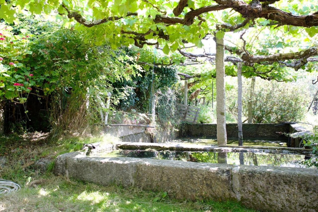 Quinta De S. Cipriano Villa Resende Kültér fotó