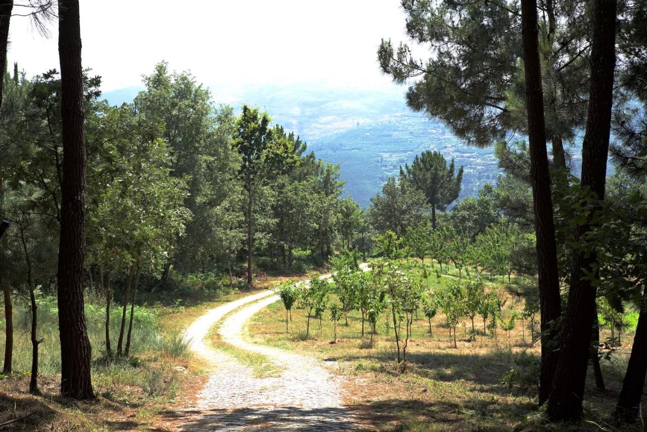 Quinta De S. Cipriano Villa Resende Kültér fotó