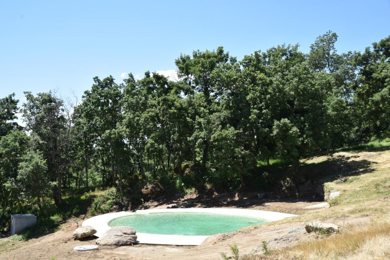 Quinta De S. Cipriano Villa Resende Kültér fotó